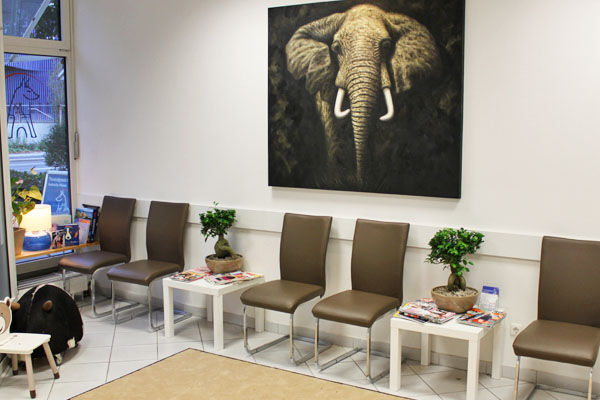 Wartezimmer mit braunen Stühlen, Pflanzen, Zeitschriften und Elefantenbild an der Wand.