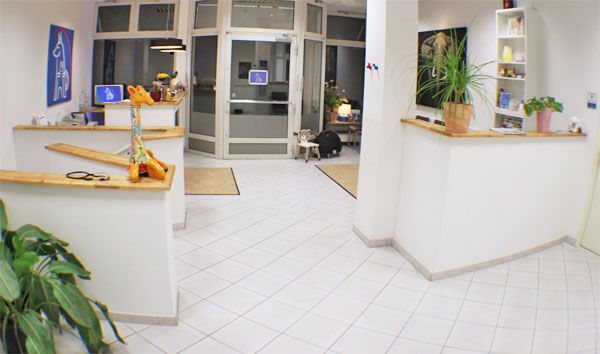 Heller Empfangsbereich einer Tierarztpraxis mit Pflanzen, Schreibtischen und Dekoration.